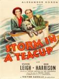 voir la fiche complète du film : Tempête dans un verre d eau