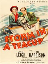 voir la fiche complète du film : Tempête dans un verre d eau