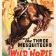 photo du film Wild Horse Rodeo