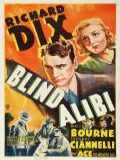 voir la fiche complète du film : Alibi aveugle