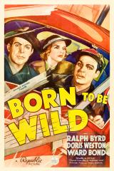 voir la fiche complète du film : Born to Be Wild