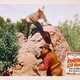 photo du film Roaring Six Guns