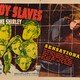 photo du film Boy Slaves