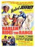 voir la fiche complète du film : Harlem Rides the Range