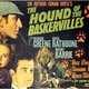 photo du film Le chien des Baskerville