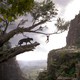 photo du film Le Livre de la jungle