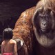 photo du film Le Livre de la jungle