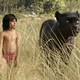photo du film Le Livre de la jungle