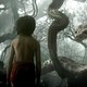 photo du film Le Livre de la jungle