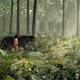 photo du film Le Livre de la jungle