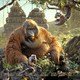 photo du film Le Livre de la jungle