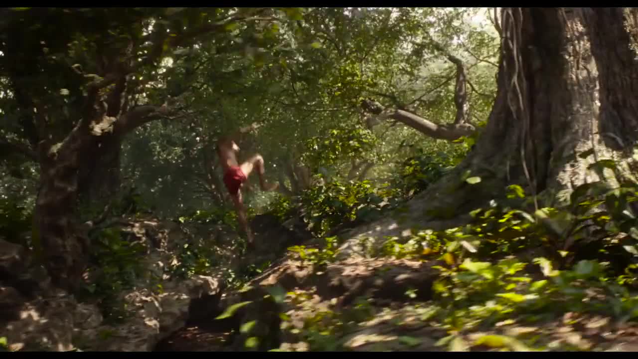 Extrait vidéo du film  Le Livre de la jungle