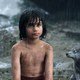 photo du film Le Livre de la jungle