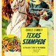 photo du film Texas Stampede