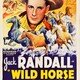photo du film Wild Horse Canyon