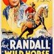 photo du film Wild Horse Canyon