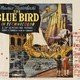 photo du film L'oiseau bleu