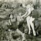 photo du film Li'l Abner