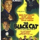photo du film The Black Cat