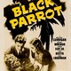 photo du film The Case of the Black Parrot