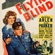 photo du film Flying Blind