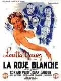 La rose blanche