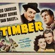 photo du film Timber