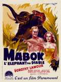 voir la fiche complète du film : Mabok, l éléphant du diable