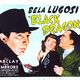 photo du film Black Dragons