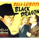 photo du film Black Dragons