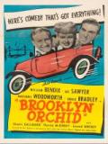 voir la fiche complète du film : Brooklyn Orchid