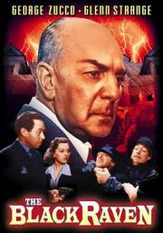 voir la fiche complète du film : Le Corbeau noir