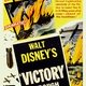 photo du film Victory Through Air Power