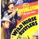photo du film Wild Horse Rustlers
