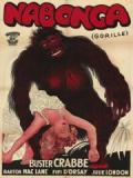 voir la fiche complète du film : Nabonga