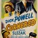 photo du film Cornered