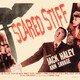 photo du film Scared Stiff