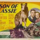 photo du film Le Fils de Lassie