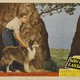 photo du film Le Fils de Lassie