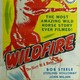 photo du film Wildfire