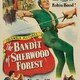 photo du film Le Fils de Robin des Bois