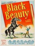 voir la fiche complète du film : Black Beauty