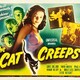 photo du film The Cat Creeps