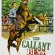 photo du film Gallant Bess