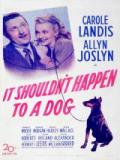 voir la fiche complète du film : It Shouldn t Happen to a Dog