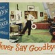 photo du film Ne dites jamais adieu