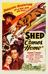 Shep Comes Home