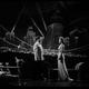 photo du film Swing Parade of 1946