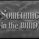 photo du film Something in the Wind