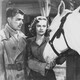 photo du film Le Ranch des pur-sang